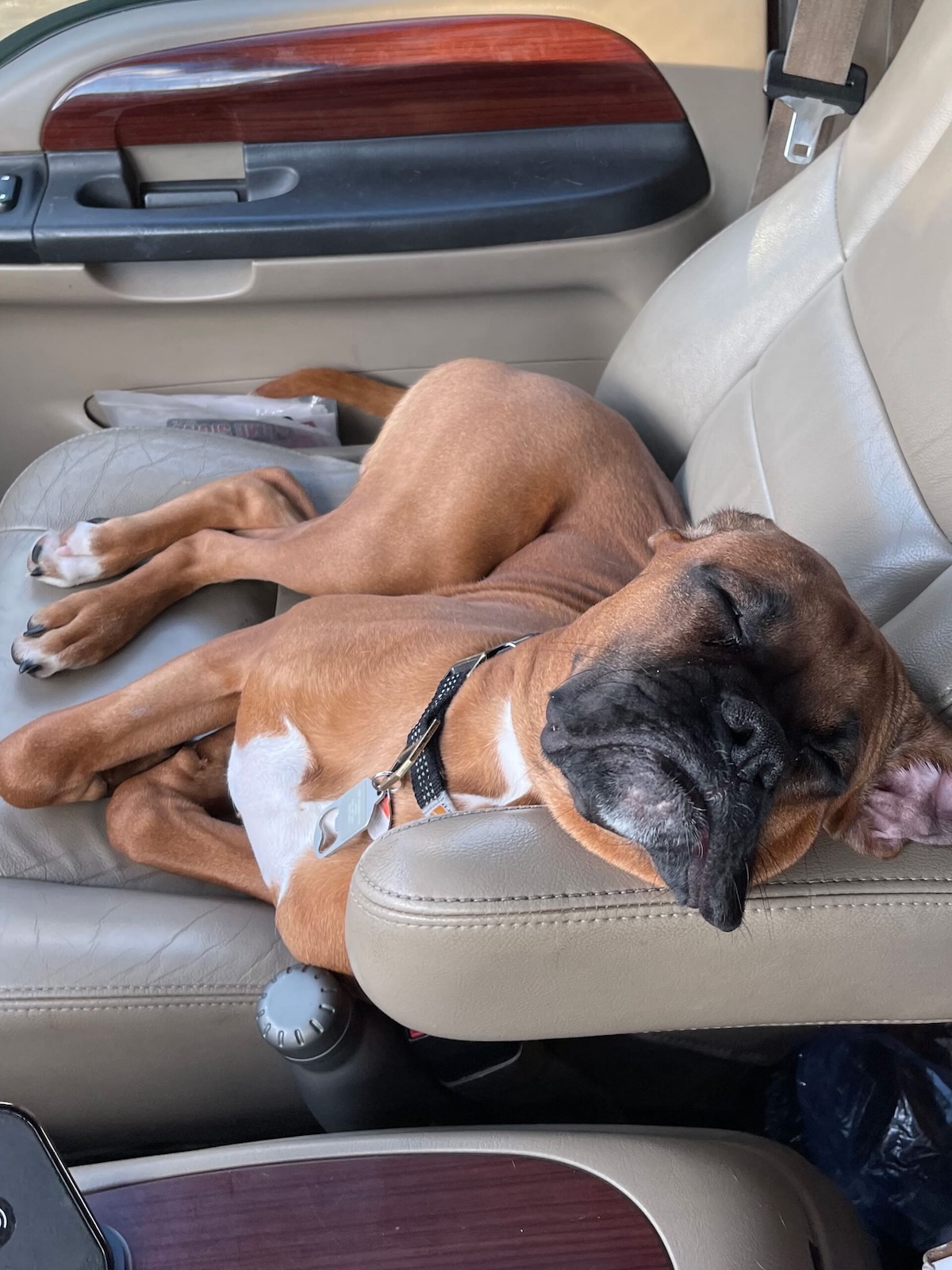 Waylon - Vehicle Security